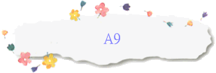 A9