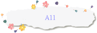 A11