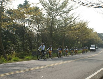 J.小葉欖仁林蔭大道