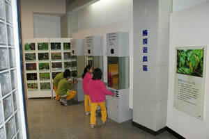 參觀生態展示室生態遊戲區