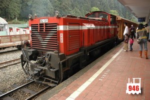 林業鐵道-762mm