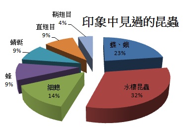 印象中的昆蟲