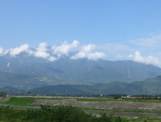 魚鷹停在石頭上