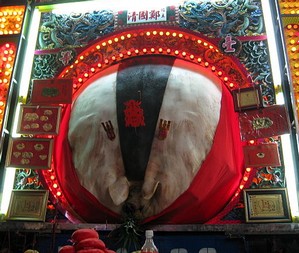 非人道飼養的典型(神豬)