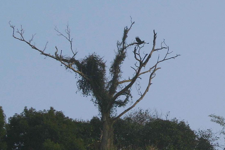 上方崖邊2