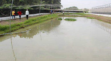 水質要夠好