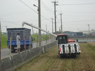 割稻機正在把稻子送到貨車上