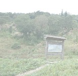 雞南山自然生態環境區