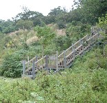 雞南山自然生態環境區