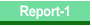 Report-1