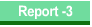 Report -3