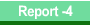 Report -4