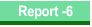 Report -6
