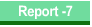 Report -7