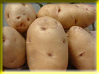 Sweet potato belongs to root-tuber plant. People have potatos stem as food but they have sweet potatos root as food.