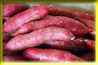 Scientific research proved sweet potato abounds with various nutrition for human.