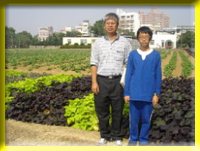 Dr. Lai toured us around the sweet potato farm and expliained about different species.