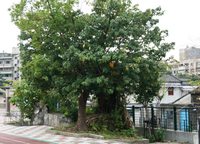 the extant Si-Si Nan Cun Air-raid Shelter is currently inside Xinyi Elementary School