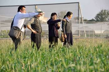 2012.12.13  For Joy & Hope Fantasy 6.0—Toward Wheat 200, the Taichung District Agricultural Research and Extension Station invited Japanese expert breeder, Professor Otobe Chikako, to give a lecture on “Wheat breeding strategies in Japan”.